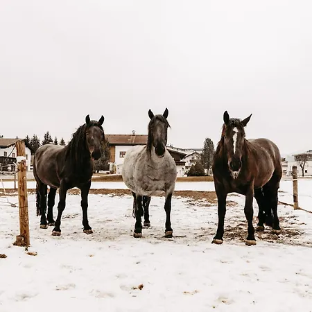 Mannharthof Farm stay