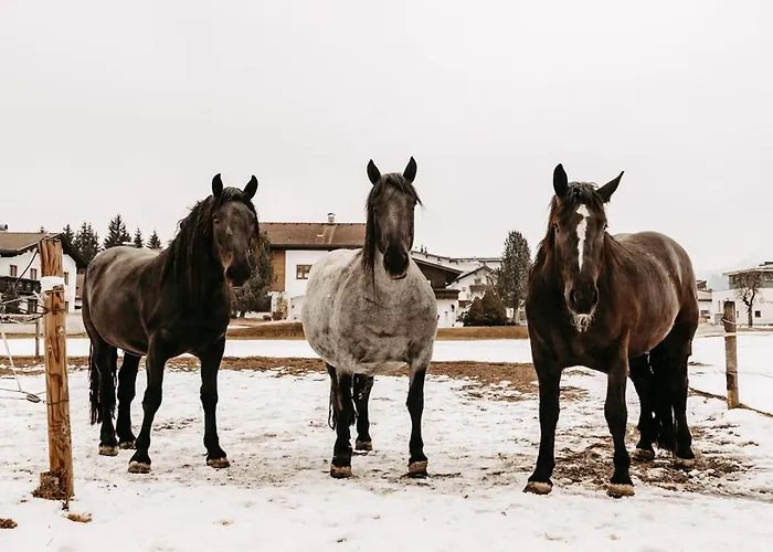Mannharthof Nahe Skiwelt 