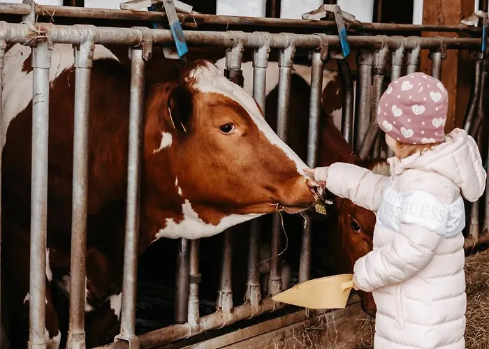 Apartamento Mannharthof Nahe Skiwelt 