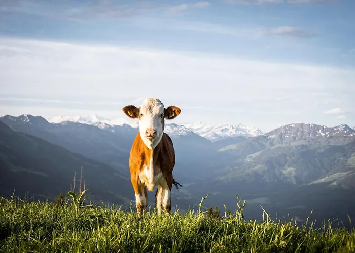 Lägenhet Mannharthof